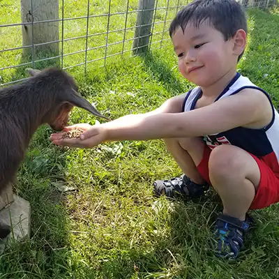 small boy and goat