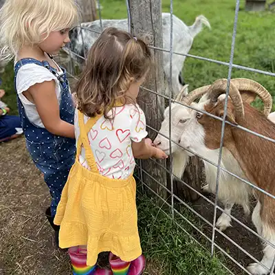 girls and goats