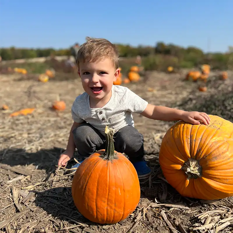 little boy in pumpkin patch