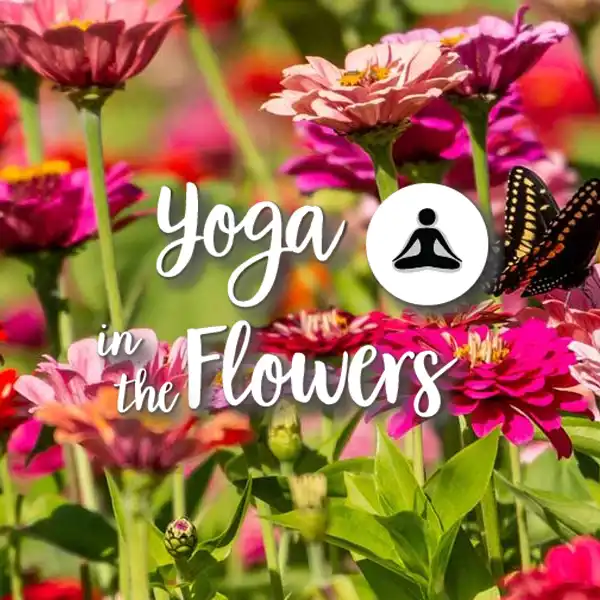 block.yogaFlowers
