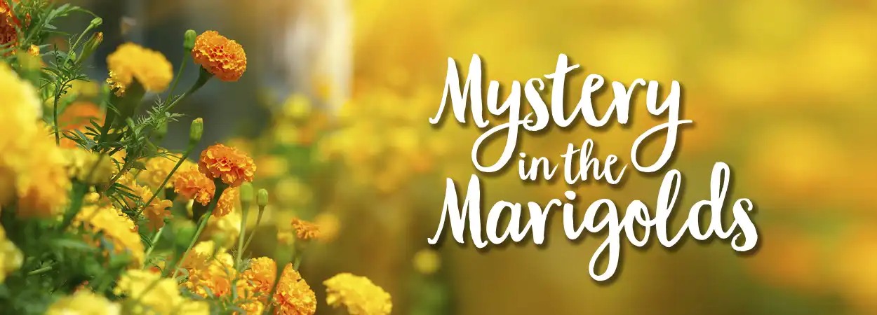 mysteryMarigoldsLong
